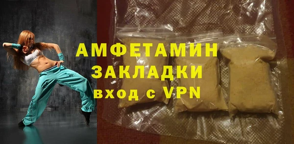 мдпв Вяземский