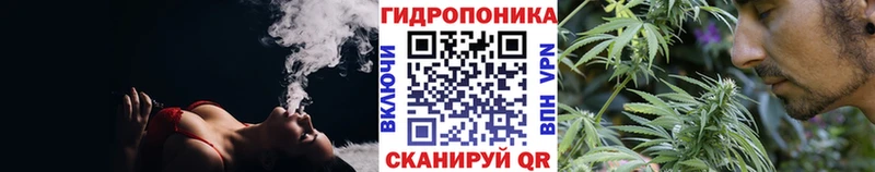 ОМГ ОМГ tor  Великий Устюг  Конопля тримм 